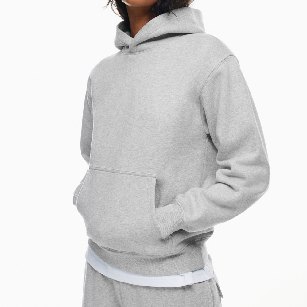 Aritzia Cozy Fleece Perfect Hoodie